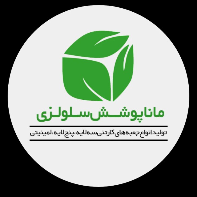 طراحی سایت شرکتی  بسته بندی کارتنی